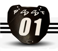 plates (for all e-scooters)